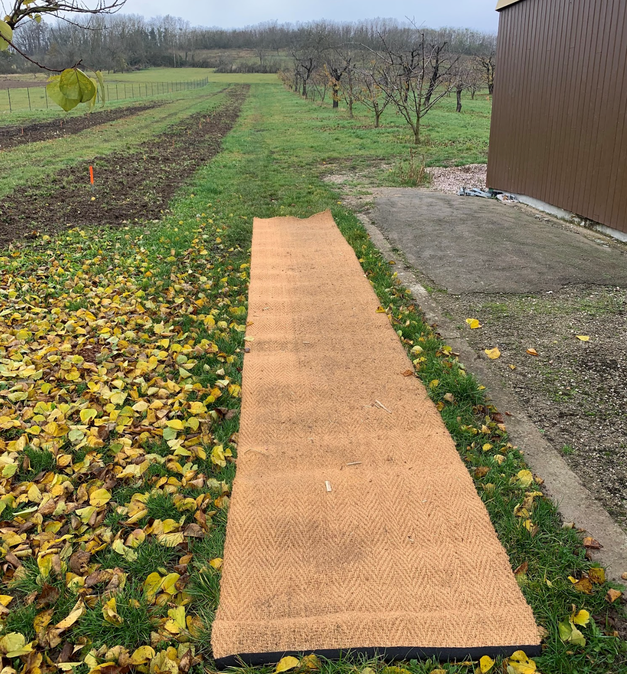 Access Cocobech – naturalna mata z włókna kokosowego