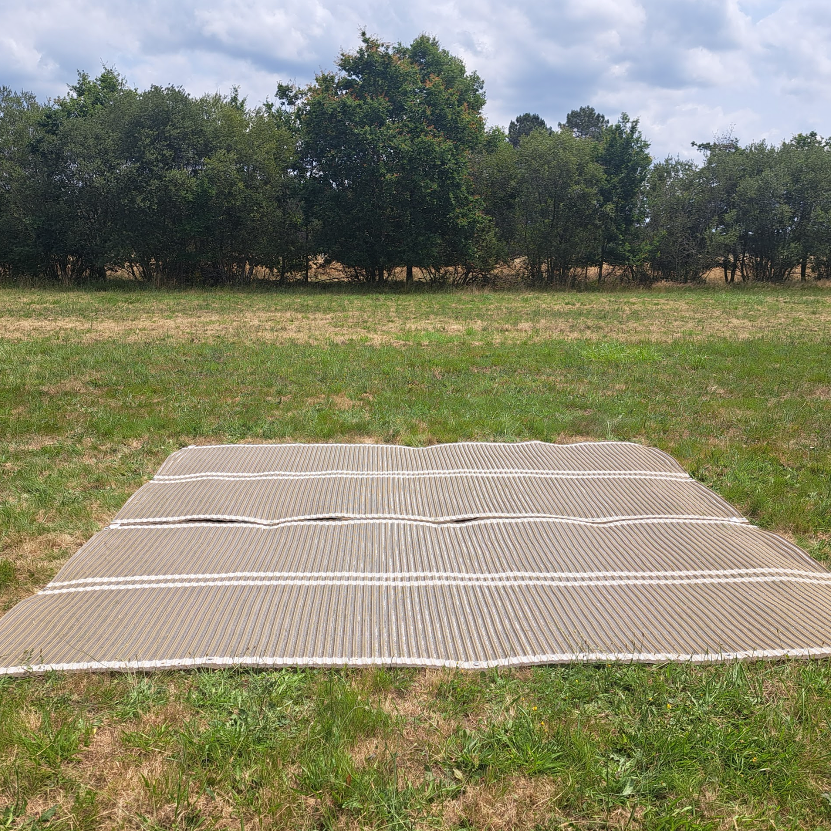 Access Dronepad – platforma dla dronów
