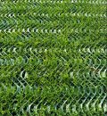 Access Grassmat – mata ochronna na trawnik